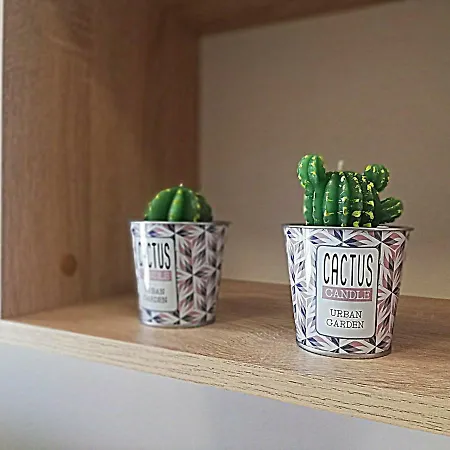 Apartment Ilarion 5 At Center