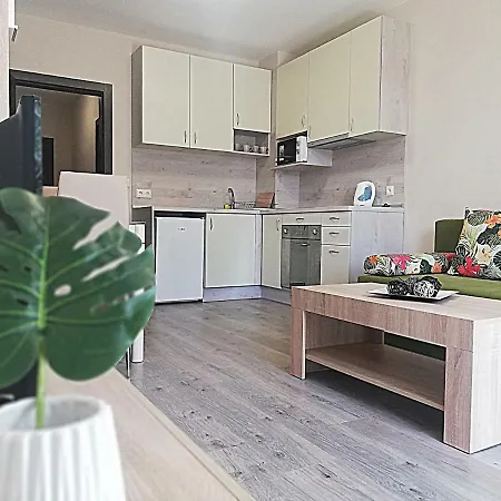 Apartment Ilarion 5 At Center